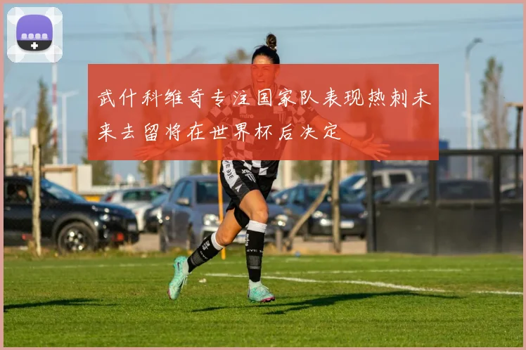 武什科维奇专注国家队表现热刺未来去留将在世界杯后决定